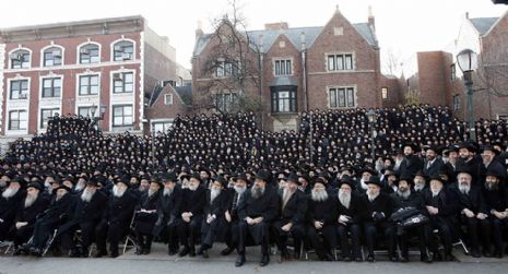 Kinus.jpg